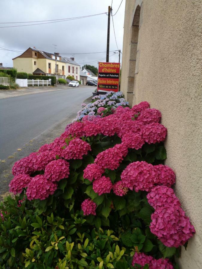 Popote Et Polochon Bed & Breakfast Saint-Martin-sur-Oust Exterior photo