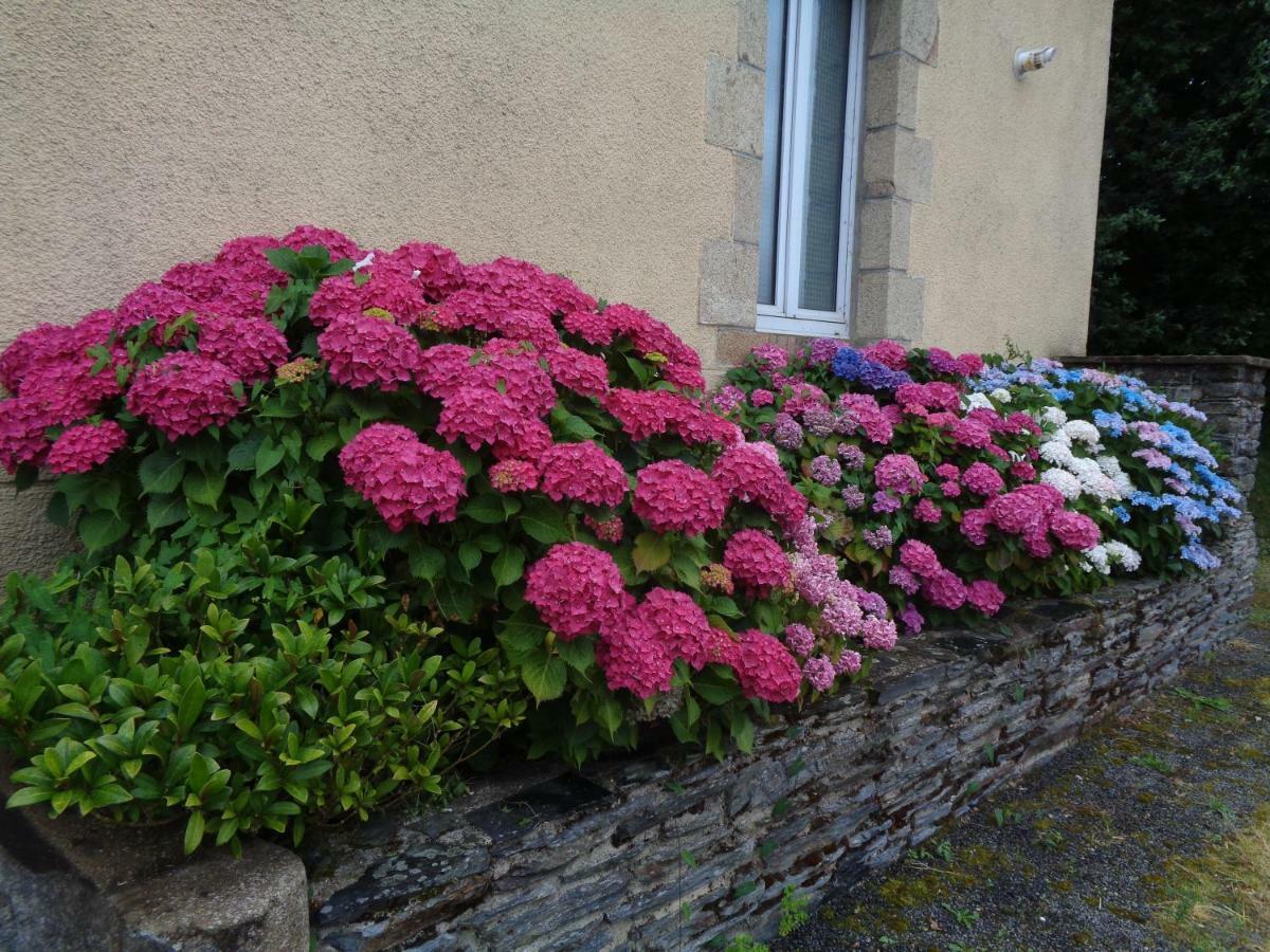 Popote Et Polochon Bed & Breakfast Saint-Martin-sur-Oust Exterior photo